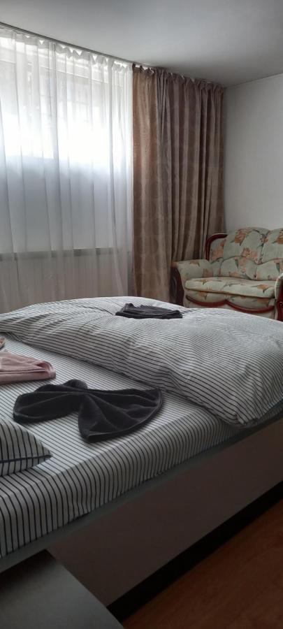 Casa Lui Marc Villa Orsova Ngoại thất bức ảnh